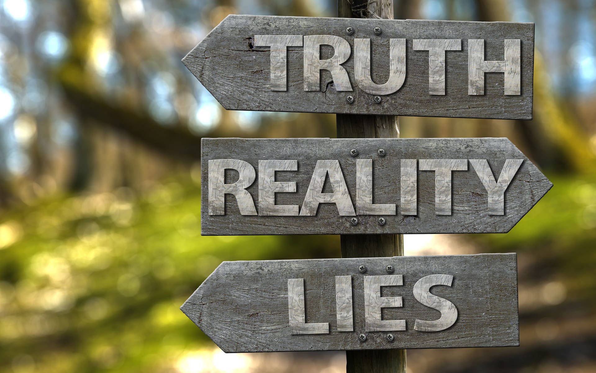 Objektivität und Wahrheitssuche in Journalismus und Wissenschaft